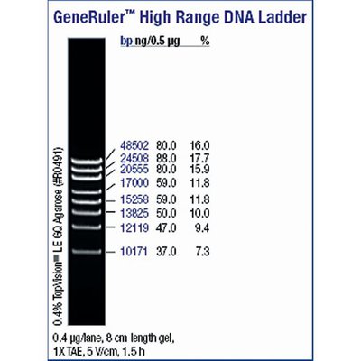 Thermo Scientific GeneRuler High Range DNA Ladder ready to use to bp μg μL