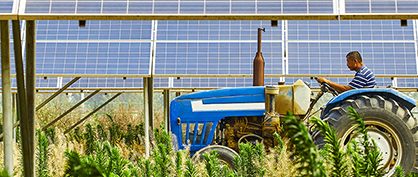 Brighter Future for Farming and Renewable Energy