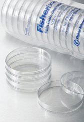 Petri Dishes with Clear Lid Beveled ridge; 100 x 15mm:Testing and