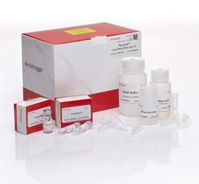 Invitrogen PureLink Viral RNA/DNA Mini Kit 50 preps:Life Sciences