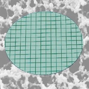 Sartorius&nbsp;Gridded Sterile Cellulose Nitrate Membrane Filters: 0.8&mu;m Pore size: 0.8&mu;m; Dia.: 50mm; w/o Grid; White; 100/Pk. Sartorius&nbsp;Gridded Sterile Cellulose Nitrate Membrane Filters: 0.8&mu;m
