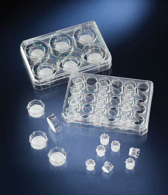 Thermo Scientific&trade;&nbsp;Nunc&trade; Polycarbonate Cell Culture Inserts in Multi-Well Plates For use with Multidish 24; &lt;0.85 x 10<sup>5</sup> pores/cm<sup>2</sup> Products