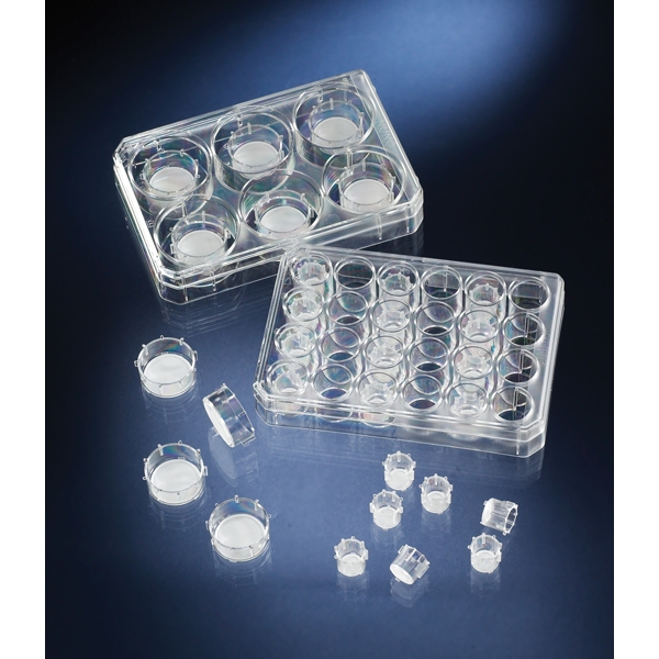 Thermo Scientific&trade;&nbsp;Nunc&trade; Polycarbonate Cell Culture Inserts in Multi-Well Plates For use with Multidish 24; &lt;1.7 x 10<sup>6</sup> pores/cm<sup>2</sup> Thermo Scientific&trade;&nbsp;Nunc&trade; Polycarbonate Cell Culture Inserts in Multi-Well Plates