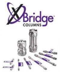 Waters Corporation&nbsp;XBridge C18 Column Diameter: 4.6 mm; Length: 250 mm; 5 &mu;m 