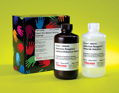 Thermo Scientific&trade;&nbsp;Pierce&trade; ECL Western Blotting-Substrat 500 ml-Kit Thermo Scientific&trade;&nbsp;Pierce&trade; ECL Western Blotting-Substrat