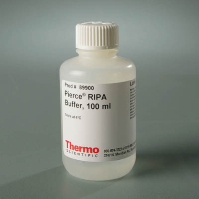 Thermo Scientific&trade;&nbsp;Tampon d’extraction et de lyse RIPA 100 ml Thermo Scientific&trade;&nbsp;Tampon d’extraction et de lyse RIPA
