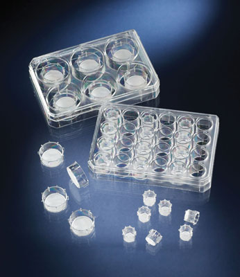 Thermo Scientific&trade;&nbsp;Nunc&trade; Polycarbonate Cell Culture Inserts in Multi-Well Plates For use with Multidish 24; &lt;1.7 x 10<sup>6</sup> pores/cm<sup>2</sup> Products