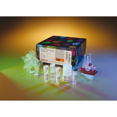 Thermo Scientific&trade;&nbsp;DyLight&trade; Antibody Labeling Kits 800-Markierungskit; 3-rxn-Kit Produkte