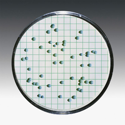 Sartorius&nbsp;Gridded Sterile Cellulose Nitrate Membrane Filters: 0.45&mu;m Pore size: 0.45&mu;m; Dia.: 47mm; w/Green grid; White; 1000/Pk. Sartorius&nbsp;Gridded Sterile Cellulose Nitrate Membrane Filters: 0.45&mu;m