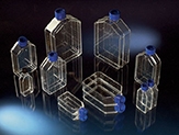 Thermo Scientific&trade;&nbsp;Nunc&trade; Sterile Flask Replacement Filter Caps  Produkte