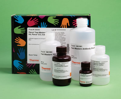 Thermo Scientific&trade;&nbsp;Pierce&trade; Fast Western Blot Kit, ECL Substrate Fast ECL kit; 200mL kit Thermo Scientific&trade;&nbsp;Pierce&trade; Fast Western Blot Kit, ECL Substrate