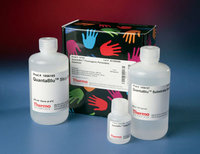 Thermo Scientific&trade;&nbsp;QuantaBlu&trade; NS/K Fluorogenic Substrate Kit QuantaBlu NS/K Substrate (for non-stopped and kinetic assay) 