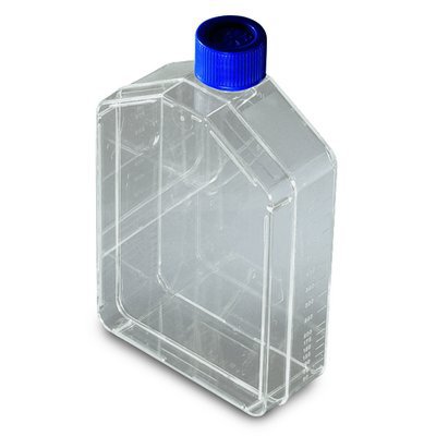 Thermo Scientific&trade;&nbsp;Nunc&trade; Cell Culture Treated Flasks with Solid Caps Nunc Flask 80cm<sup>2</sup>, Vent/Close Cap, Straight Neck, 50/Cs Thermo Scientific&trade;&nbsp;Nunc&trade; Cell Culture Treated Flasks with Solid Caps