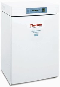 Thermo Scientific&trade;&nbsp;Forma&trade; Series II  Water-Jacketed CO2 Incubator, 184L CO2/O2; TC Sensor; 230V 