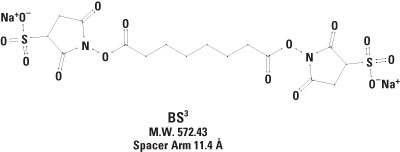 Thermo Scientific&trade;&nbsp;BS3 (bis(sulfosuccinimidyl)suberate) 1 g Thermo Scientific&trade;&nbsp;BS3 (bis(sulfosuccinimidyl)suberate)