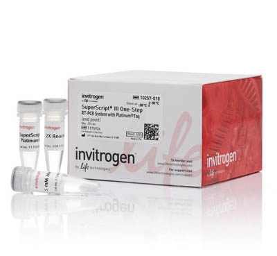 Invitrogen&trade;&nbsp;SuperScript&trade; III One-Step RT-PCR System with Platinum&trade; <i>Taq</i> DNA Polymerase 100 reactions Products