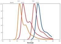 Cytiva&nbsp;Nucleotidi fluorescenti Amersham&trade; CyDye&trade; Cy3-dCTP, 25nmol 