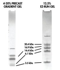 Fisher BioReagents&trade;&nbsp;EZ-Run&trade; Protein Gel Staining Solution 4L 