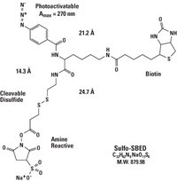 Thermo Scientific&trade;&nbsp;Sulfo-SBED Biotin Label Transfer Reagent, No-Weigh&trade; Format 8 x 1 mg 