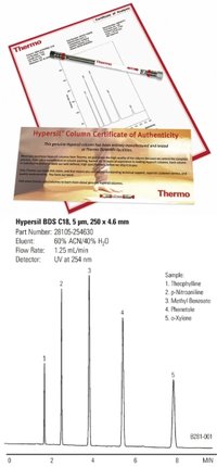Thermo Scientific&trade;&nbsp;Columnas de fenil Hypersil&trade; BDS 2,1 mm de diámetro interno x 100 mm de longitud 