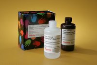 Thermo Scientific&trade;&nbsp;SuperSignal&trade; West Pico Chemiluminescent Substrate, SuperSignal West Pico Chemiluminescent Substrate; 500mL kit SuperSignal West Pico Chemiluminescent Substrate; 500mL kit 