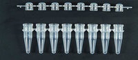 x100 PCR Thin Wall 8-Tubes Strip 0,2ml, PP, Clear, Kapazität: 0.2 ml 