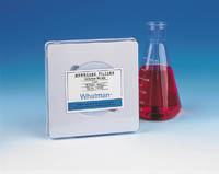 Cytiva&nbsp;Whatman&trade; Cellulose Nitrate Membrane - Grade NC45 Pore size: 0.45&mu;m; Diameter: 1.85in. (47mm); 100/pk 