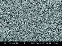 Cytiva&nbsp;Sterile Membranen aus Zellulosemischester, ME 25 ME 25; Porengröße:0,45 &mu;m; glatt; steril; Durchm.:47mm 