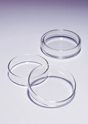 Placa Petri de vidrio de borosilicato Pyrex&trade;Labware Dimensiones: 100 diám. x 20 mm de Al Placa Petri de vidrio de borosilicato Pyrex&trade;Labware
