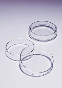 Pyrex&trade; Borosilicate Glass Petri Dishes Dimensions: 80 dia. x 20mmH 