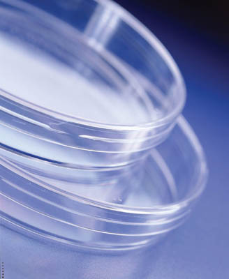 Thermo Scientific Sterilin&nbsp;Sterilin&trade; Clear Triple Vent Petri Dishes Diameter: 90mm Petri Dishes