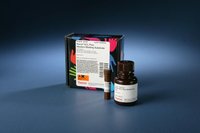 Thermo Scientific&trade;&nbsp;Pierce&trade; ECL Plus Western Blotting Substrate ECL Plus Substrate; 25mL kit 