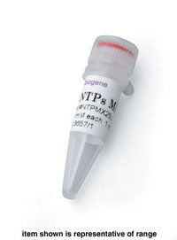MP Biomedicals&trade;&nbsp;dNTPs Mix (25mm each) 5 x 5umol 