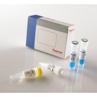 Thermo Scientific&trade;&nbsp;Verso 1-step RT-qPCR Kit, SYBR Green, with separate ROX vial 200 Reaktionen 