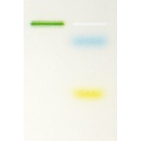 Thermo Scientific&trade;&nbsp;Maxima&trade; Hot Start Green 2X PCR Master Mix 10x1.25 mL 