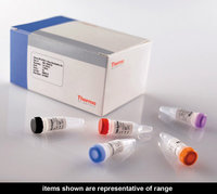 Thermo Scientific&trade;&nbsp;Verso 1-Step RT-PCR Kit ReddyMix, with ThermoPrime Taq 1-Schritt-RT-PCR ReddyMix Master Mix mit ThermoPrime Taq; 400 x 25 &mu;l-Reaktionen 