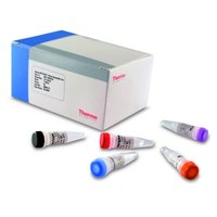 Thermo Scientific&trade;&nbsp;Verso 1-Step RT-PCR Kit ReddyMix, with ThermoPrime Taq 1-Schritt-RT-PCR ReddyMix Master Mix mit ThermoPrime Taq; 400 x 25 &mu;l-Reaktionen 