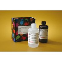 Thermo Scientific&trade;&nbsp;SuperSignal&trade; West Pico Chemiluminescent Substrate West Pico Substrate; 1L kit 