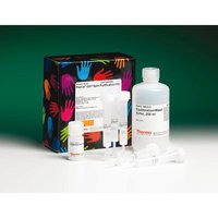 Thermo Scientific&trade;&nbsp;Pierce&trade; Glutathione Chromatography Cartridges Cartouches, 5 ml ; 2 cartouches 