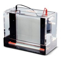 Thermo Scientific&trade;&nbsp;Owl&trade; Dual-Gel Vertical Electrophoresis Systems P9DS-1 Complete System 