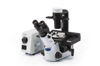 Olympus&trade;&nbsp;Microscope, Fluorescence Upgrade Pack for Green and Red Fluorophores with Metal Halide Light Source, CKX53  