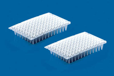 BRAND&trade;&nbsp;White 96-well PCR Plates 96 well; No Skirt; White BRAND&trade;&nbsp;White 96-well PCR Plates