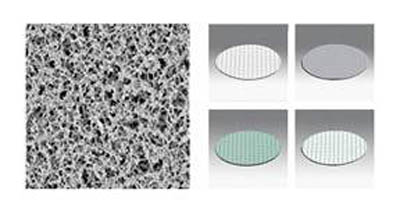 Sartorius&nbsp;Gridded Nonsterile Cellulose Nitrate Membrane Filters: 0.45&mu;m Pore Size Nonsterile Membrane Filters; Diameter: 50 mm; Grid Color: Green; Color: White; Quantity: 1000/Pk. Sartorius&nbsp;Gridded Nonsterile Cellulose Nitrate Membrane Filters: 0.45&mu;m Pore Size