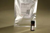 Thermo Scientific&trade;&nbsp;Pierce&trade; NHS-Activated Agarose Spin Columns, 2 mL Spin columns, 8mL capacity, 330mg dry resin; 5 columns 