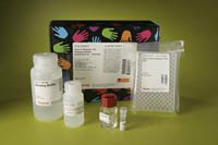 Thermo Scientific&trade;&nbsp;Pierce&trade; TiO<sup>2</sup> Magnetic Phosphopeptide Enrichment Kit Kit; 24-rxn kit 