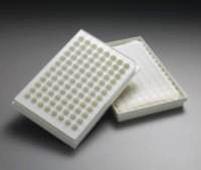 Merck&nbsp;MultiScreen<sub>HTS</sub> 96-Well Filter Plates DNA purification; 1.0&mu;m; 50/Pack; Opaque; Nonsterile Filtering Microplates