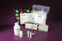 Thermo Scientific&trade;&nbsp;Active Rac1 Pull-Down and Detection Kit Rac1 Kit; 30-test kit 