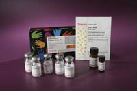 Thermo Scientific&trade;&nbsp;FITC-Casein for Pierce&trade; Fluorescent Protease Assay Kit Caséine-FITC pour le dosage par fluorescence ; 2,5 mg 