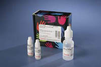 Thermo Scientific&trade;&nbsp;Ultra-Sensitive ABC Peroxidase Mouse IgG Staining Kit Ultra-Sensitive ABC Mouse IgG Kit 