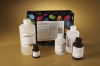 Thermo Scientific&trade;&nbsp;Pierce&trade; Fast Western Kit, SuperSignal&trade; West Pico, Mouse Pico Maus-Kit; 200 ml-Kit 